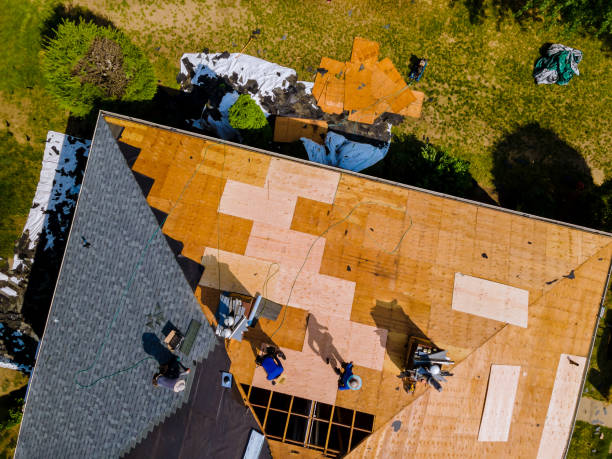 Best Commercial Roofing Services  in Woodville, OH