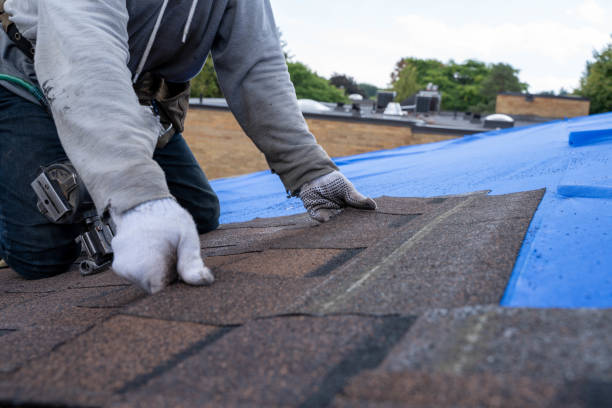Best Roof Maintenance Services  in Woodville, OH