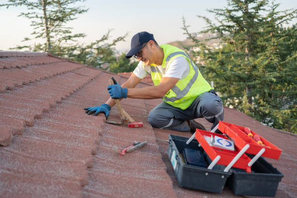 Best Emergency Roof Repair  in Woodville, OH