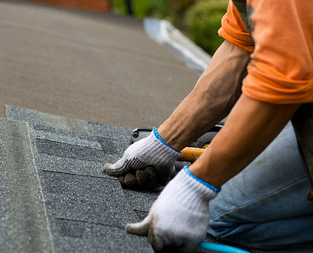 Best Roof Repair Services  in Woodville, OH