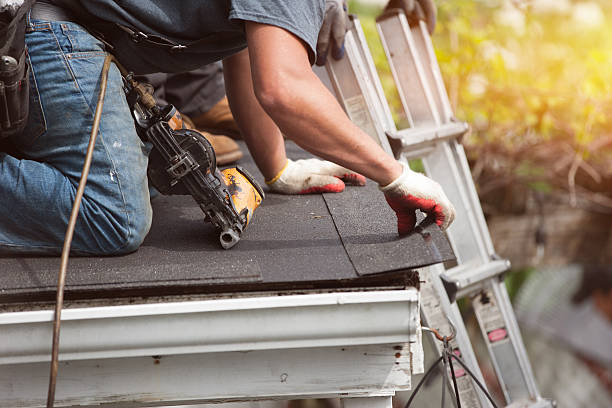 Best Local Roofing Companies  in Woodville, OH