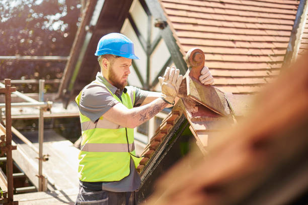 Best Gutter Installation and Roofing  in Woodville, OH